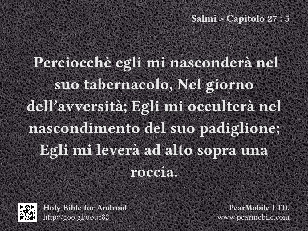 Salmi, Capitolo 27:5